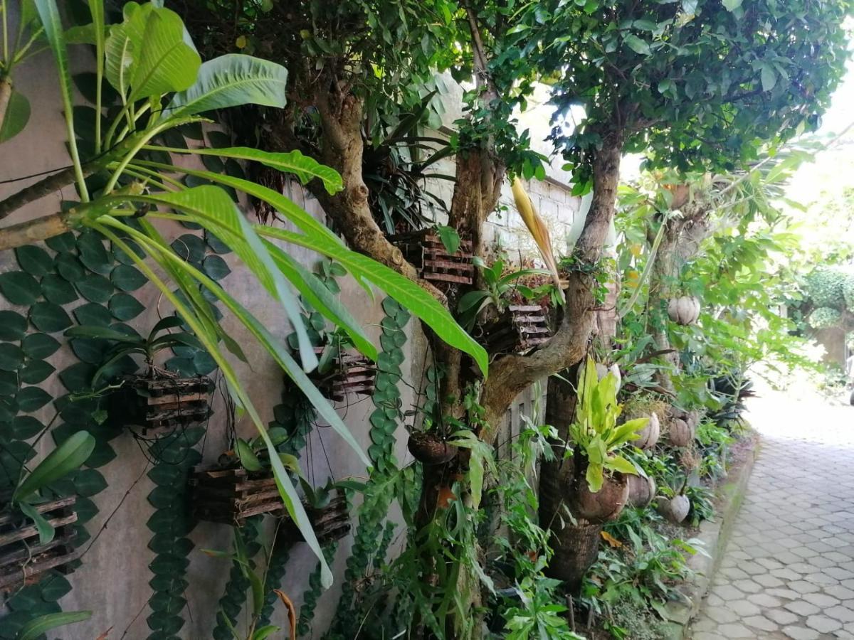 Coliving Bali Sweet Home Kost Lengkap Di Tabanan Kota Selemadeg Exterior foto
