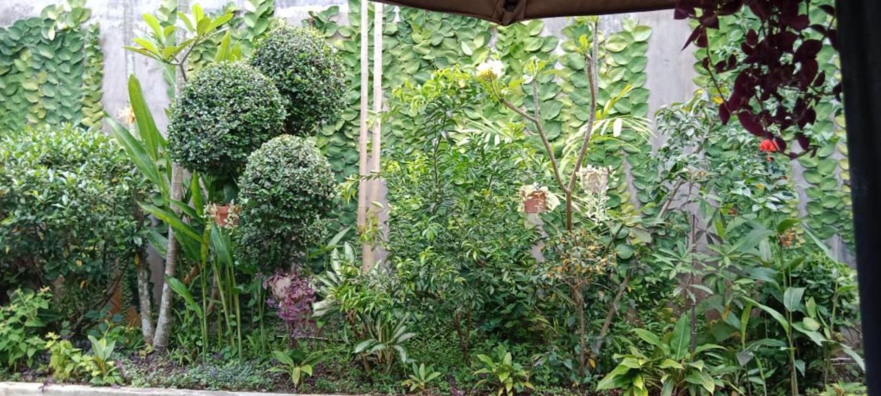 Coliving Bali Sweet Home Kost Lengkap Di Tabanan Kota Selemadeg Exterior foto