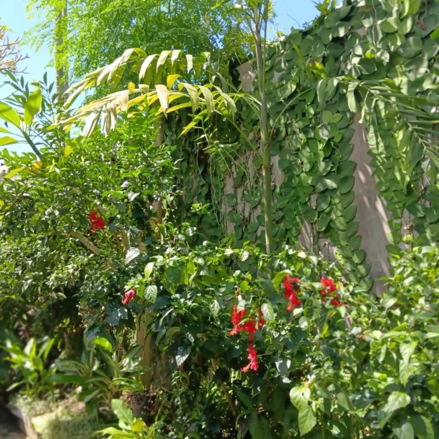 Coliving Bali Sweet Home Kost Lengkap Di Tabanan Kota Selemadeg Exterior foto