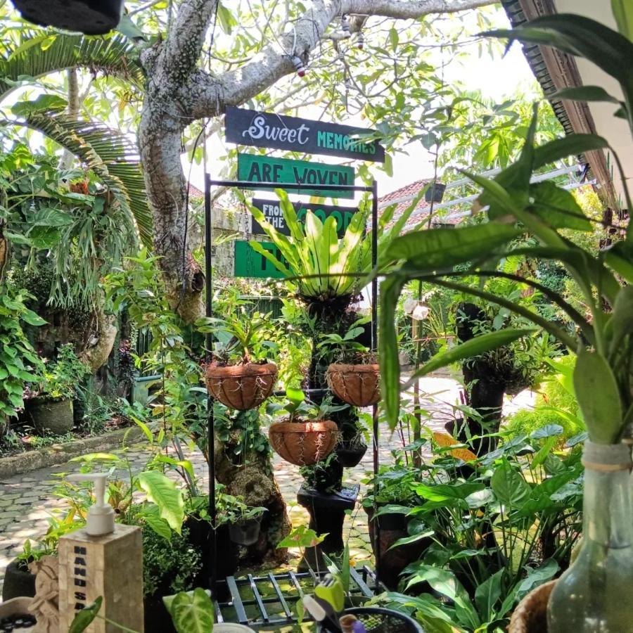 Coliving Bali Sweet Home Kost Lengkap Di Tabanan Kota Selemadeg Exterior foto
