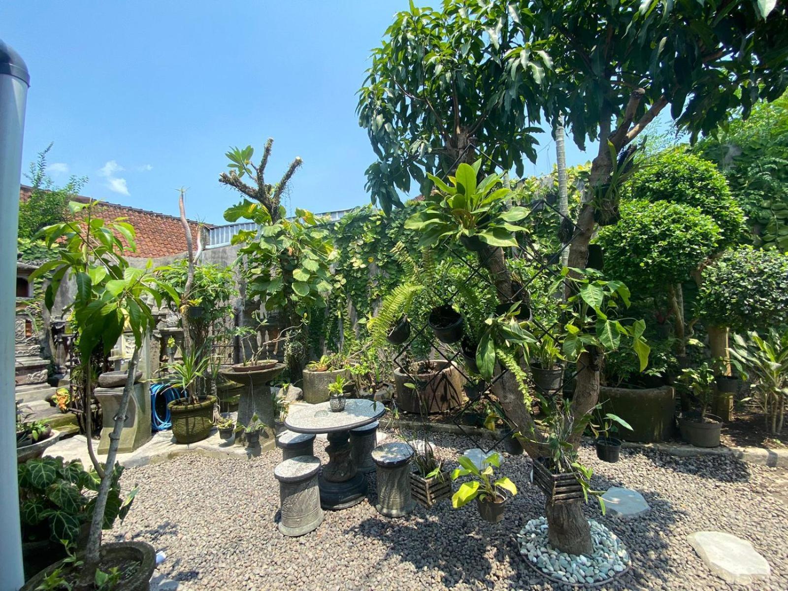 Coliving Bali Sweet Home Kost Lengkap Di Tabanan Kota Selemadeg Exterior foto