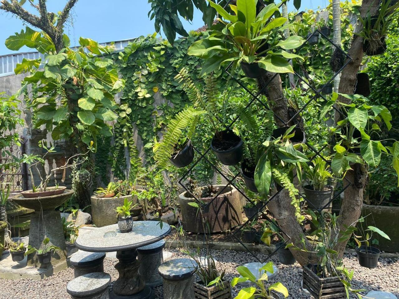 Coliving Bali Sweet Home Kost Lengkap Di Tabanan Kota Selemadeg Exterior foto