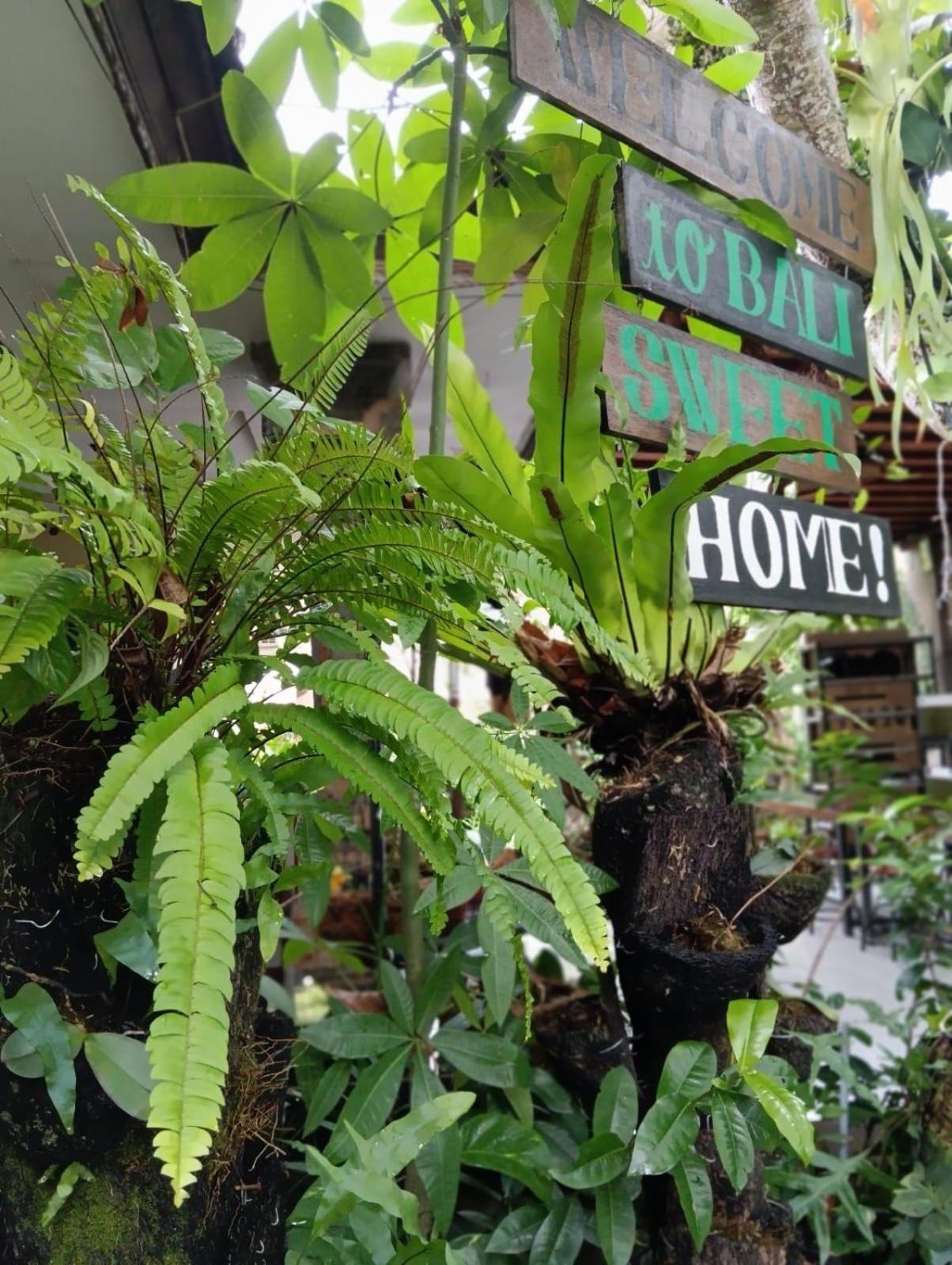 Coliving Bali Sweet Home Kost Lengkap Di Tabanan Kota Selemadeg Exterior foto